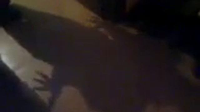 мопс vs Фредди Крюгер. ржака смотреть онлайн