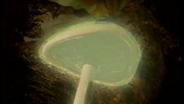 Mayumi Ozaki The Moth Exterminator ( Monster Commando M 1995 ) смотреть онлайн