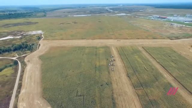 Крупнейшее Стадо Ангусов в мире смотреть онлайн