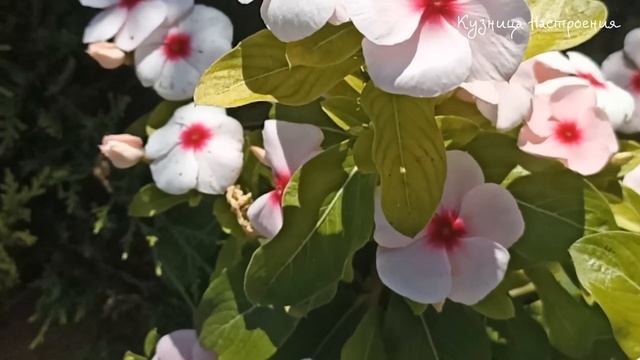 29 ноября народный праздник Матвеев День. Что нельзя делать 29 ноября. Народные традиции и приметы. смотреть онлайн