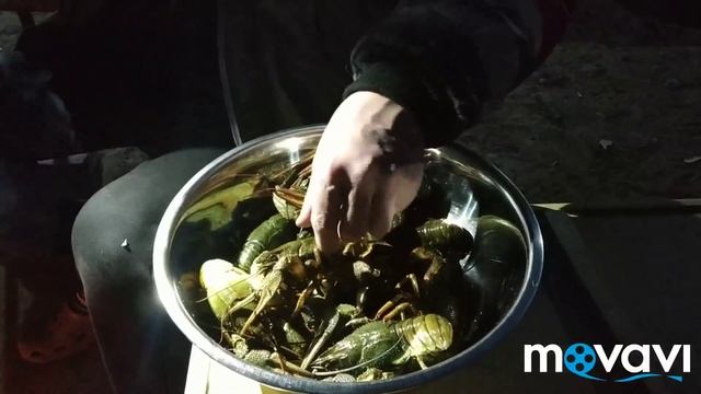 РАКИ В ПИВЕ. КАК ПРИГОТОВИТЬ РАКОВ. смотреть онлайн