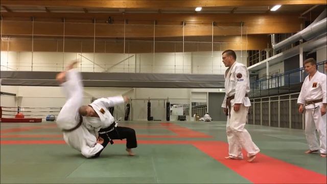 Hokutoryu Jujutsu Turku Finland