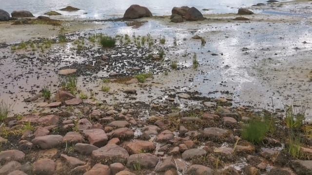 Отдыхаем на Белом море. 1 часть в посёлке Нижняя Пулонга . 2 часть мыс Пурнаволок бывшая база ВМФ смотреть онлайн