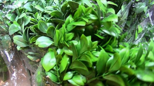 Обзор на закупку флоры смотреть онлайн