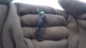 Клюет на все! Верхняя Москва река