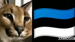 значение России к странам (шлёпа грустные и радостные лица)