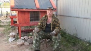 Выпойка цыплят от 0 суток до 4,5 месяцев. Ветпрепараты.
