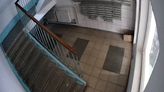 7 под лестница 2022.02.25 04 00 12 00 смотреть онлайн