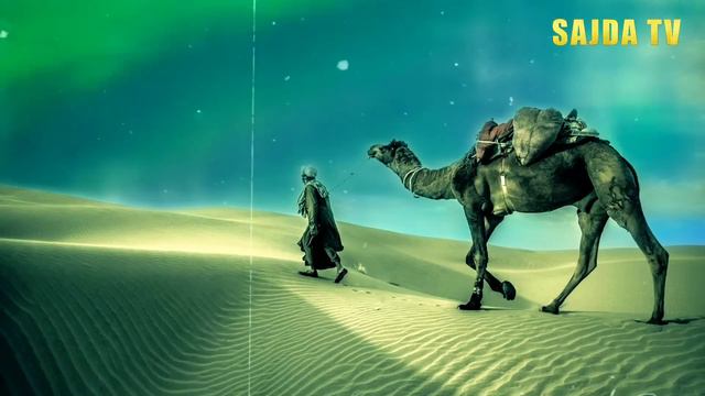 Abdulloh domla ~ Tufayl ibn Amr ( roziallohu anhu ) Абдуллоҳ домла Саҳобалар тарихи... смотреть онлайн