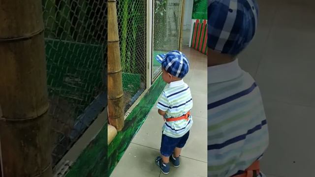 VLOG #Контактный зоопарк #2корейца смотреть онлайн