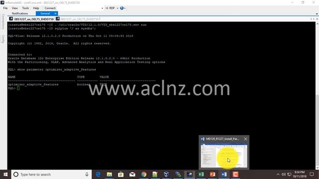 How to set the value of optimizer_adaptive_features parameter in Oracle DB 12c under Oracle EBS? смотреть онлайн