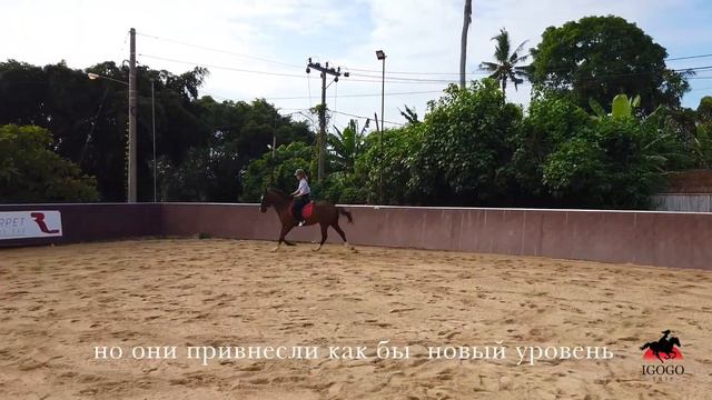 Отзыв о конном фото - туре на сказочном острове Бали от прекрасной путешественницы Дарьи смотреть онлайн