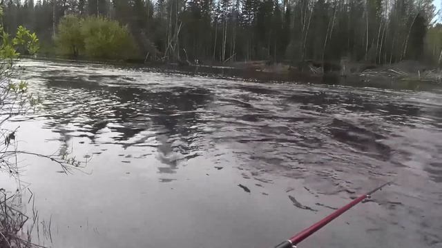 Первая рыбалка на камеру. смотреть онлайн