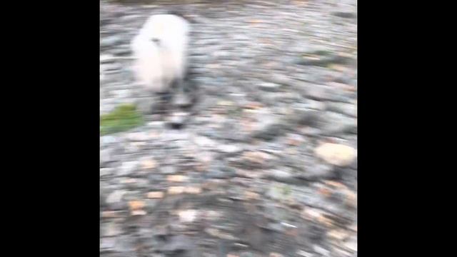 Казахстан ВКО р. Кальжир рыбалка сентябрь 2022г. смотреть онлайн