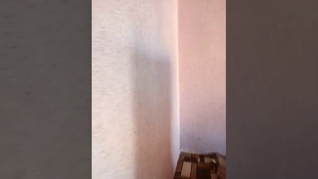 Жидкие обои. Проблемы с жидкими обоями смотреть онлайн