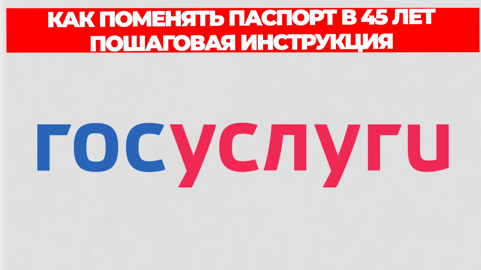 Всезнающий Енот