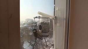 Защита от воробьев на кормушке.