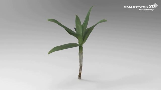 SMARTTECH3D - plants digitalization смотреть онлайн
