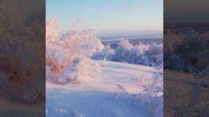 Антонио Вивальди февраль зима(времена года)