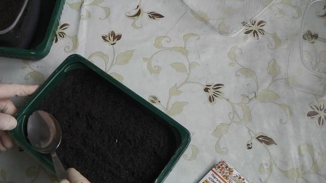 Анимационные Короткометражки