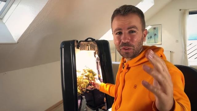 Second yield in my Mini Grow Box of Bonsanto! смотреть онлайн
