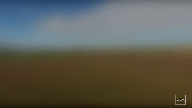 [Miscanthus X Giganteus] Nursery Plantation