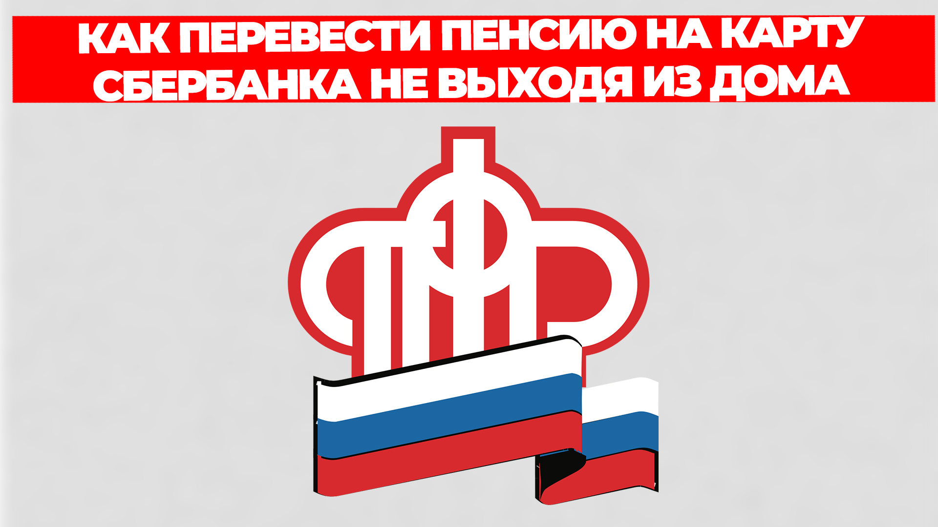 Всезнающий Енот