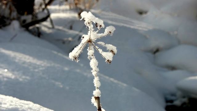 День Зимнего Солнцестояния Коляда, Святки, Рождество, Нардуган смотреть онлайн