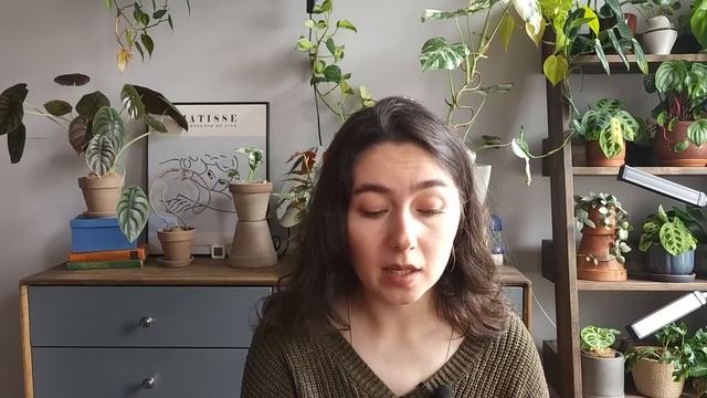 Мой ОПЫТ выращивания АНТУРИУМА КЛАРИНЕРВИУМА / Мох СФАГНУМ вместо ГРУНТА смотреть онлайн