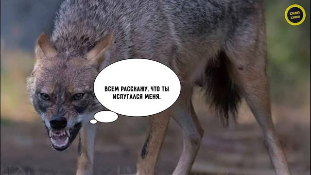 Как реагировать на хамство и провокации l Мудрая притча смотреть онлайн