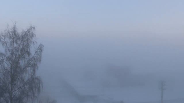 Вышивка крестиком . Начало января.