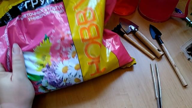 ОБЗОР ЖИЗНИ