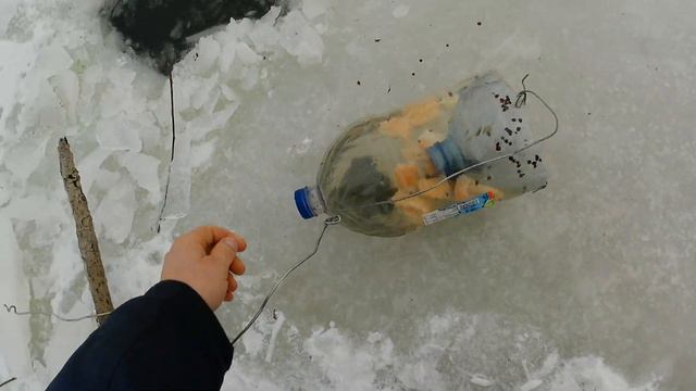 Поймал Ротона , зимняя рыбалка в самом разгаре . Ловим рыбу на мордушку смотреть онлайн