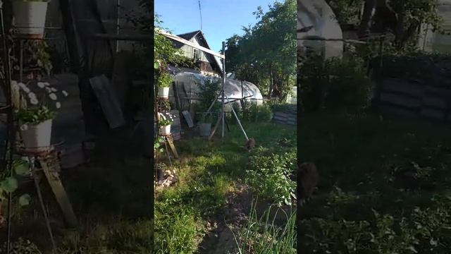 Знакомство_Привет из г. Острова Псковской области смотреть онлайн