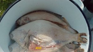 Камбала холодного копчения на жидком дыме по 120 рублей за кило,хорошая и полезная  закуска к пиву!