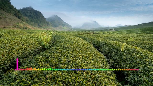 Али Саидов - Башкирия