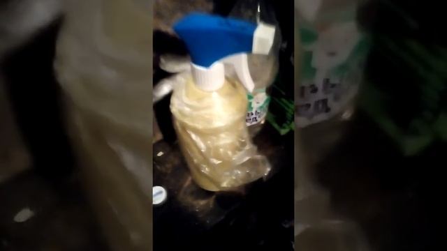 Как убрать грибок с подвала какими средствами смотреть онлайн