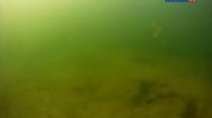 Тайны века. Гипотезы о открытия. Тайна Земли Санникова.