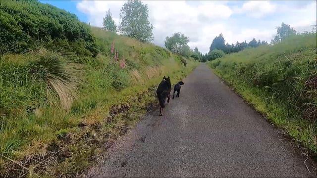 2 Banagher Glen Forest Park, Dungiven, County Londonderry (Our walk up to the Dam) part 2 смотреть онлайн