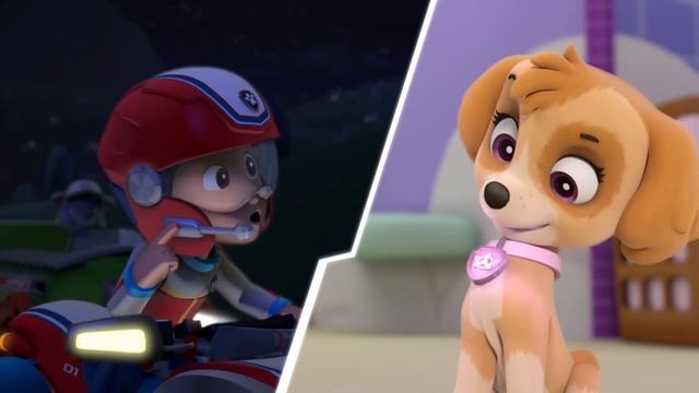 PAW Patrol | ¡Las Mejores Misiones de Rescate de Chase y Marshall! ? | 1 Hora | Nick Jr. en Español смотреть онлайн
