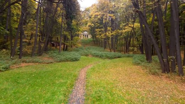 DJI Mavic Mini 16:9 (video test 1) смотреть онлайн