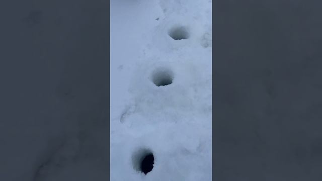 Количество пробуренных лунок смотреть онлайн