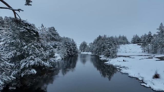 Классическая музыка расслабляет душу и сердце – Шопен, Моцарт, Бетховен, Бах, Чайковский 🎧🎧