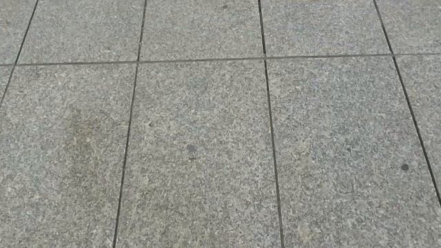 Едем в Катовице (Katowice). Разговорчики в машине. смотреть онлайн