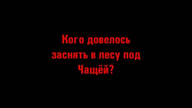 Заснял ЙЕТИ в лесу! Шокирующие кадры! смотреть онлайн