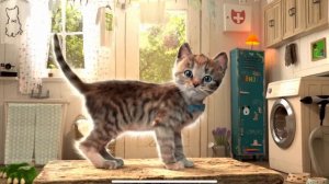 SUPER LITTLE KITTEN ADVENTURE - KITTY ON AN ADVENTUROUS JOURNEY AND A BIG SURPRISE - LONG SPECIAL