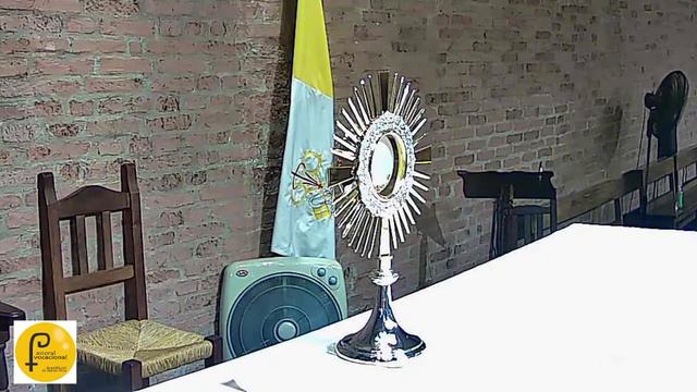 19hs Misa y Adoración Vocacional Jueves 24nov2521 @pvocacionalbsas смотреть онлайн