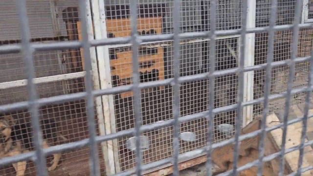 Крым.Топловский женский монастырь 2023 смотреть онлайн