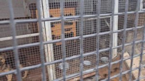 Крым.Топловский женский монастырь 2023