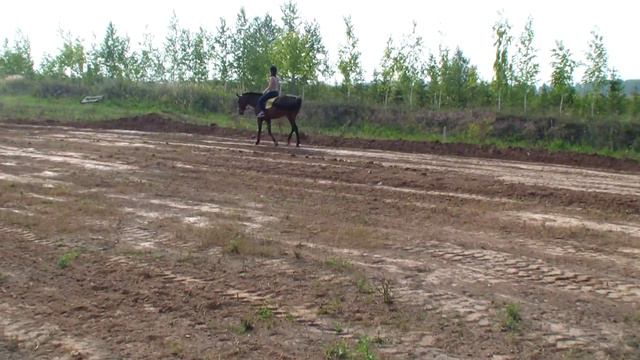 Покатались на лошадках в ГК Дубай (1) смотреть онлайн